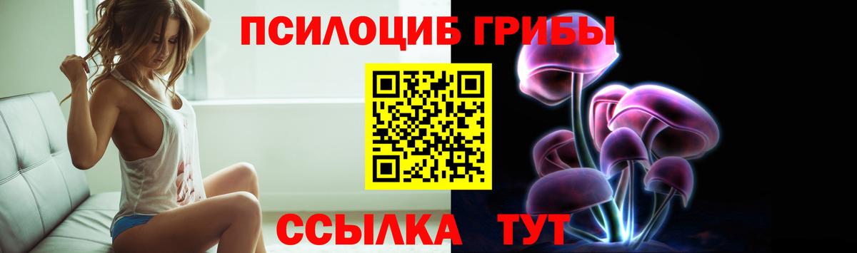 Заволжье  Псилоцибиновые грибы MAGIC MUSHROOMS  Вход с VPN 